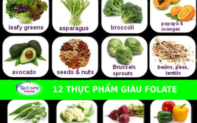 Hướng dẫn bổ sung Axit folic cho bà bầu để phòng ngừa dị tật thai nhi 